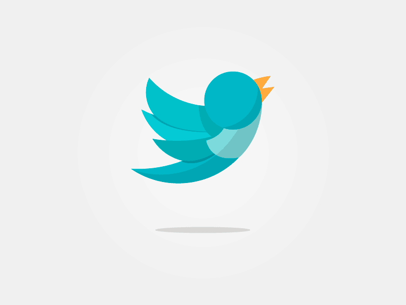 ZITWEET - TWITTER ACCOUNT CREATOR